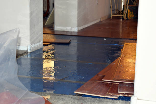 Professional Burst Pipe Cleanup technician working in Brookfield, IL